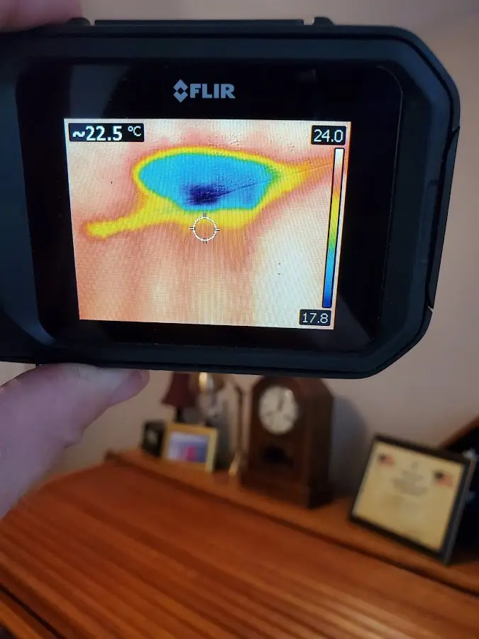 Thermal imaging inspection for water damage in Princeton